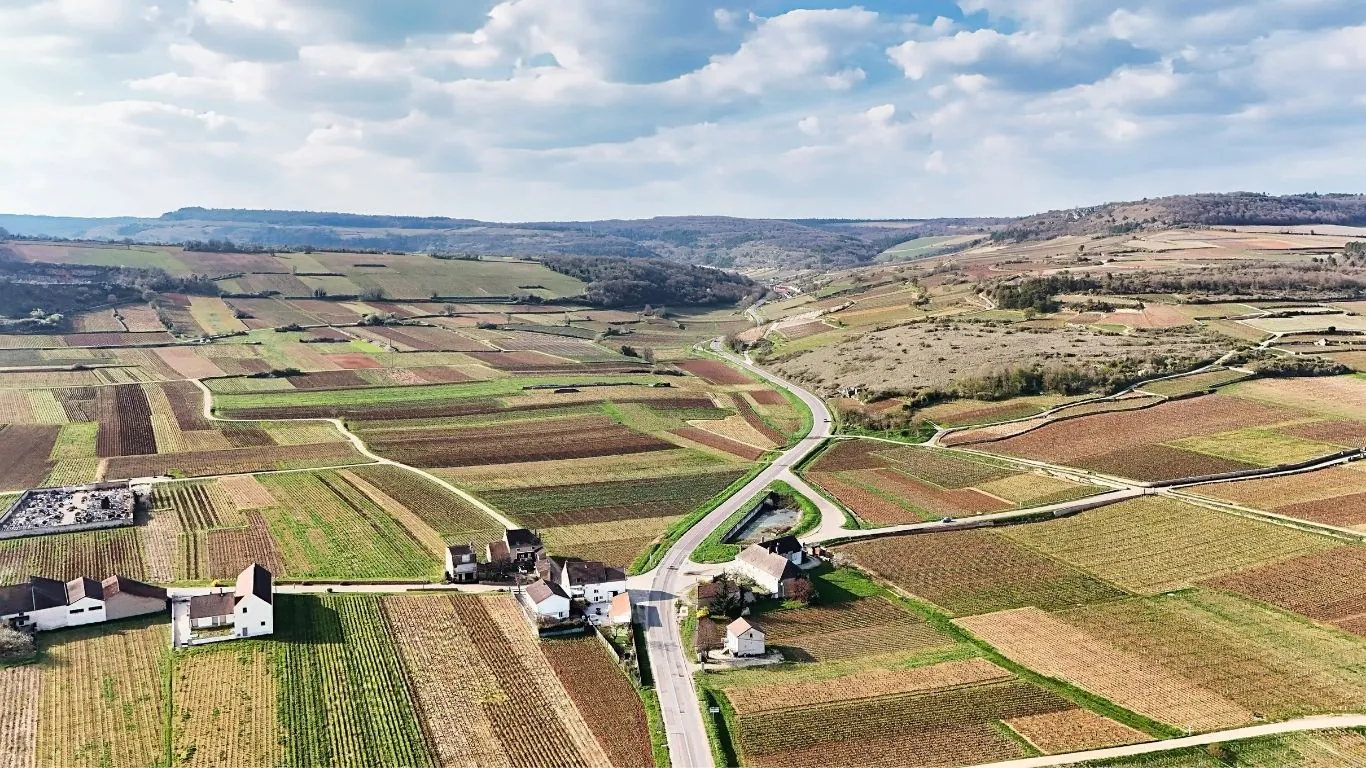 Vue aérienne vignes Bourgogne